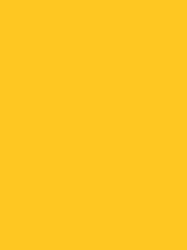 Picture of VANGUARD GOLD YELLOW PAPER