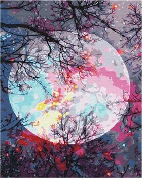 Picture of PAINT BY NUMBERS OVERLOOKING THE MOON BOXED