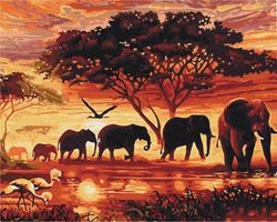 Picture of PAINT BY NUMBERS ELEPHANTS IN THE SAVANNAH BOXED