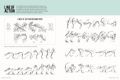Picture of LEARN TO DRAW ANIMATION 1 STEP BY STEP