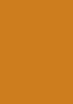 Picture of TINTED CARD 300GSM TERRACOTTA