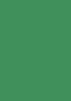 Picture of TINTED PAPER 130GSM MOSS GREEN