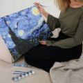 Picture of PAINT BY NUMBERS SUMMER RACCOON BOXED